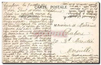 Blé en champ — comparaison agricole — éditeur SAINT-OBAIN — Reverso