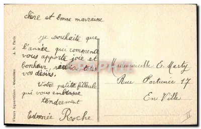 Mata de violetas — Boa Ano — A. N. Paris — Verso
