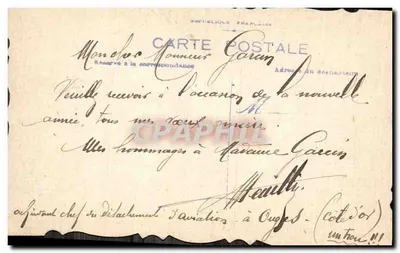 Buquê de bagas — Boa Ano — Carta postal — Verso