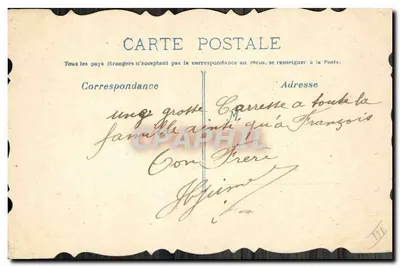 Flores e folhas — carta postal decorativa — editor não visível — Verso