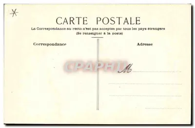 Cigno in volo sull'acqua — disegno a matita — cartolina postale anonima — Verso