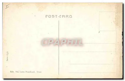 Kair - Buffał na Nilu obok piramid — The Cairo Post-Card Trust, seria 646 — Rewers