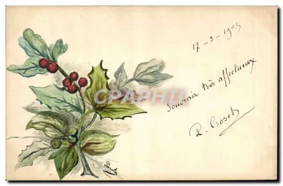 Galhos de hortência — desenho aquarelado — Paul Baula