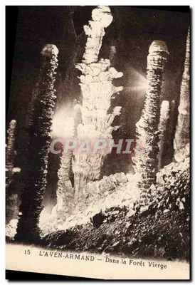 L'Aven-Armand — Dentro da Floresta Virgem — Imp. François, Limoges