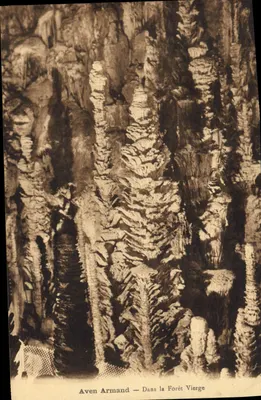 Aven Armand — Na Floresta Virgem — Editor: Soc. dos Artes do Turismo