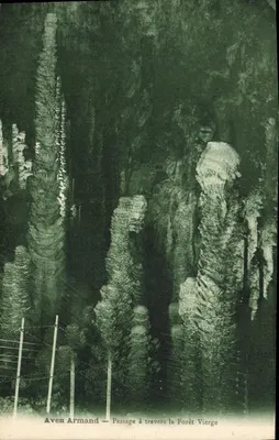 Aven Armand — Passagem através da Floresta Virgem — Société des Cartes Postales, Tain-l'Hermitage