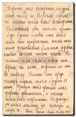 Mała dziewczynka i dwaj szczeniaki — wydawca nieznany, nr 530 — Rewers
