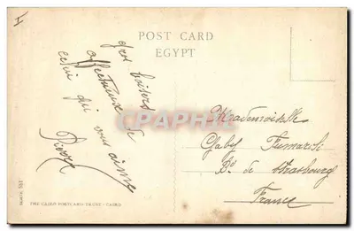 Kair — Sfinks — wydawca THE CAIRO POSTCARD TRUST, nr 551 — Rewers