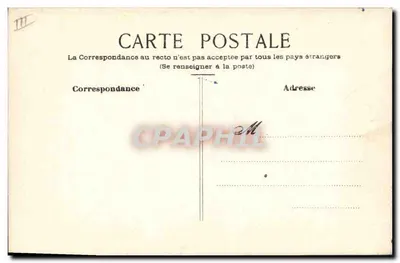 Vinha — cachos de uva roxa e amarela — carta postal não editada — Verso