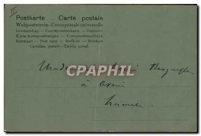 Campanulas — ilustração — Carta postal – Carte postale (União Postal Universal) — Verso