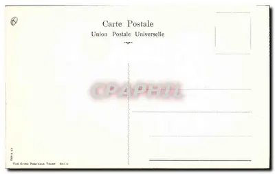 Wyspa Phylae — ruiny egipskie z kolumnadami i palmami — wydawca THE CAIRO POSTCARD TRUST, nr 53 — Rewers