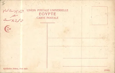Visão das Pirâmides — Nilo e aves — Edição Ephthimios Frères, Port Said — Verso