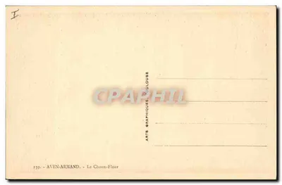Aven Armand — O Choux-Fleur — Arts Graphiques Toulouse — Verso