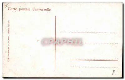 Karnak, ulica Sfinksów — widok na sfinksy — Lichtenstern & Harari, n°201 — Rewers