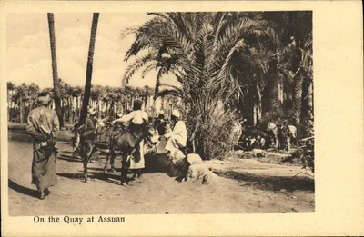 Quai d'Assouan — Egito — G. G. Zacharia & Co. Assuan No. 5