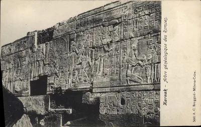 Árvore genealógica dos Ramsés — Karnak — A.C. Broggoni - Milano-Caire