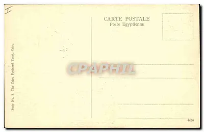 Muzeum w Kairze — Sala wystawowa — The Cairo Postcard Trust, seria 3, nr 4420 — Rewers