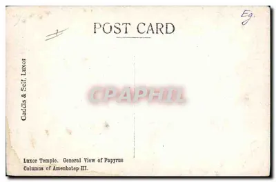 Świątynia Louxor — Ogólny widok kolumn Amenhotepa III — Caddis & Self, Luxor — Rewers