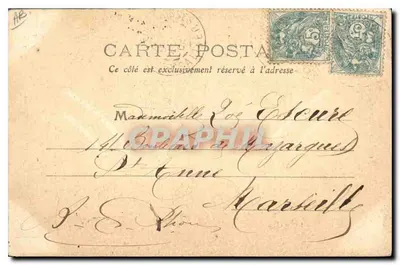 Una Bourbonnaise — Tipo del Centro, M.T. — n° 526 — Verso
