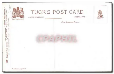 O Grande Esfinge de Gizé — vista pintada — Tuck & Sons, n° 481 — Verso