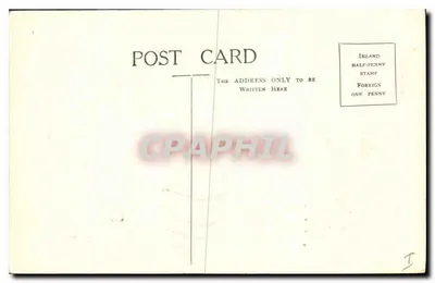 Sarczyn króla Antef-Âa — British Museum — The Fine Arts Pub. Co. Ltd. n°6652 — Rewers