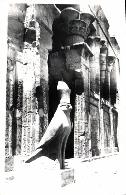 Edfou — Estátua de Horus em granito negro — Gadda Luxor (Egito)