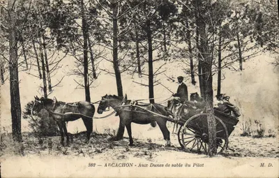 Arcachon — Nas Dunas de Areia do Pilat — M. D. n° 382