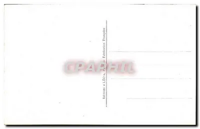 Bouquet van rozen en gipsifile — uitgave Léo Paris 2029 — Achterkant