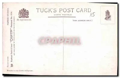 Bukiet dafli — ilustracja w technice akwareli — Tuck & Sons, nr 2134 — Rewers