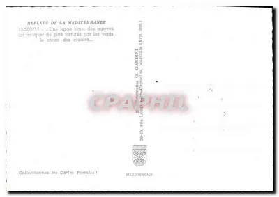 Widok z wybrzeża Morza Śródziemnego — sosny i agawy — wydawca IRIS — Rewers