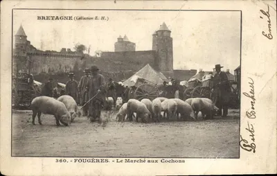 Fougères — Le Marché aux Cochons — Éditeur Carte Bonheur, n° 360