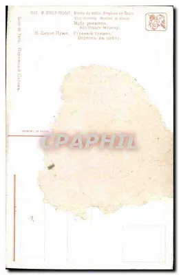 Neblina matinal, Bruyères em flor — W. Bidier-Pouget, n°1042 — Verso