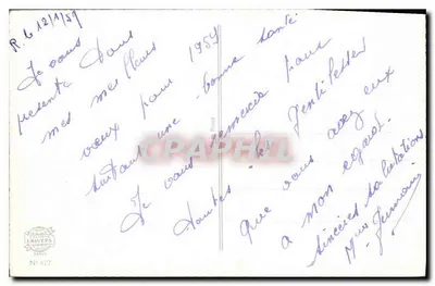 Arranjo de mimosa — editor C. Niva, n°4 — Verso
