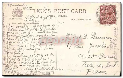 Dzik obok jeziora leśnego — Tuck's Post Card, Londyn — numer serii nie widoczny — Rewers