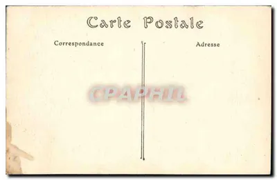 CANNES — Ptaki morskie na plaży Croisette — ND. Fot. 535 — Rewers
