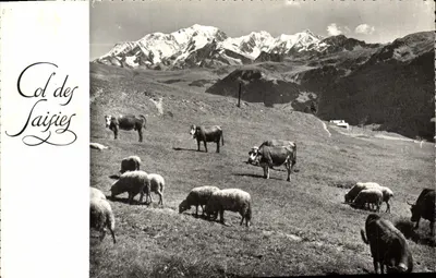कॉल डेस सैसी - मॉंट ब्लैंक का दृश्य - फोटोज ले मॉल्ट, चारेंटॉन इंटरडिट