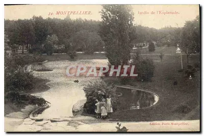 Jardin de l'Esplanade — Montpellier — Édition Paris-Montpellier, n°34