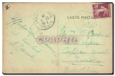 Perpignan — Os Platanes — Editor desconhecido, n° 490 — Verso