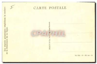 Mulhouse — L'Hotel des Postes e il Ponte del Canale — Braun & Cie, Mulhouse — Verso