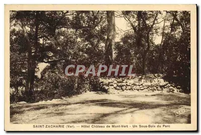 Saint-Zacharie (Var) — Hotel Château de Mont-Vert — Um Sous-Bois do Parc — Tardy