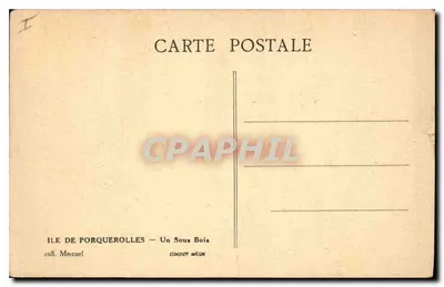Isla de Porquerolles — Un Bosquecillo — Editor Conquier Mâcon — Reverso