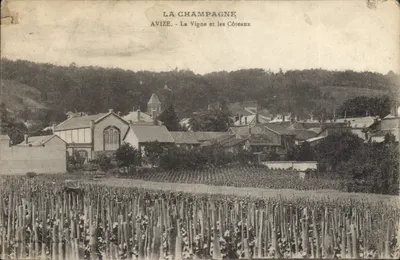 Avize - A Vide e os Coteaux — A Champagne