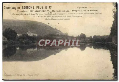 Bilhete postal antigo Champagne Bouche Fils Vignoble Les goisses Mareuil sur Ay Propriere de la Maison