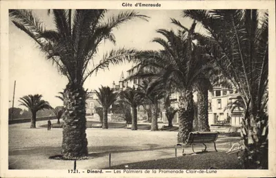 Dinard — Os Palmier da Promenade Clair-de-Lune — Costa Esmeralda — n° 1721