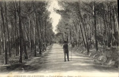 Corniche de l'Estérel — Forêt d'Aigues — Boumi — II
