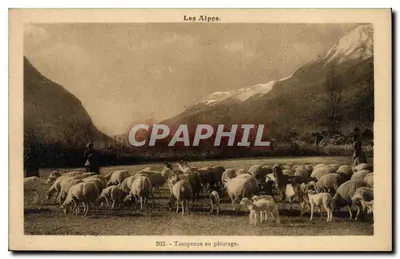 As Alpes. — Tropelias no pasto. — n°203
