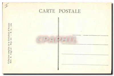 Katedra w AMIENS — Stalles du Chœur (XVIe s.) — Rewers