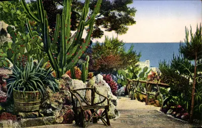 Jardins Exóticos — Mônaco — editor não visível