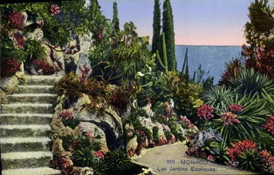 Jardins Exóticos — Mônaco — n° 315