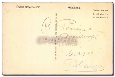 Montargis — Zamek — Rewers